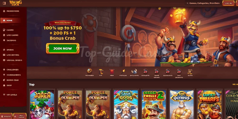 Aperçu du site Viking Luck